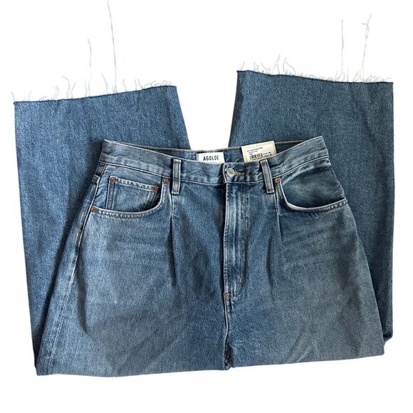 Agolde Dayna High Rise Pleat Baggy Jeans in Trap Size 28 - Picture 8 of 11